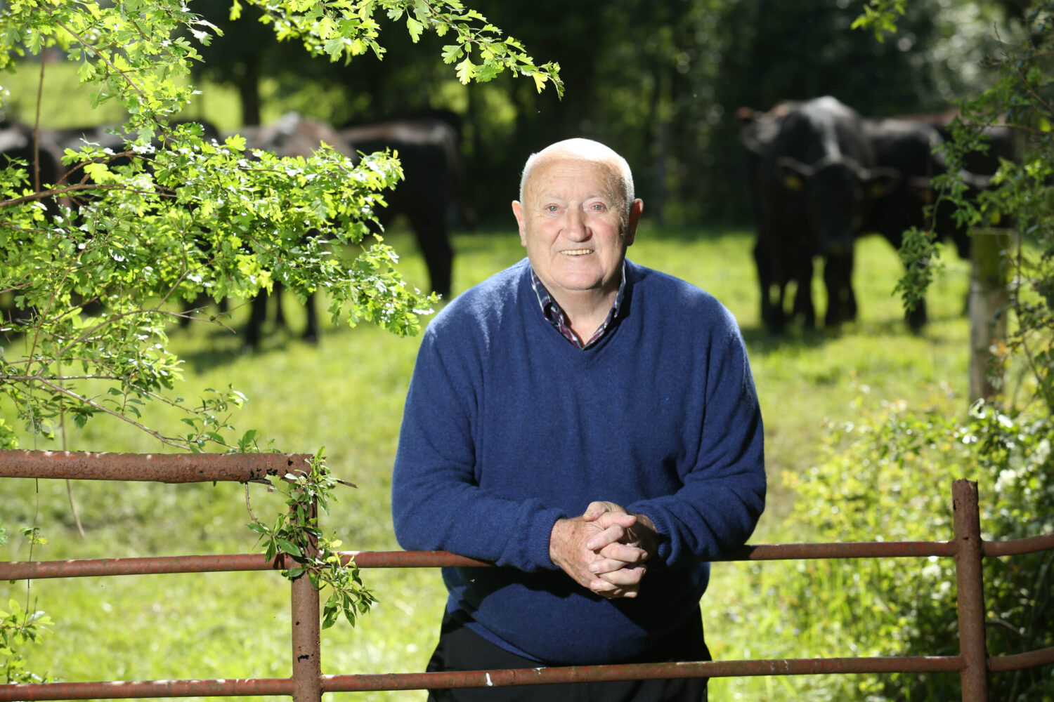 Tim Dunne, Chairman.jpg