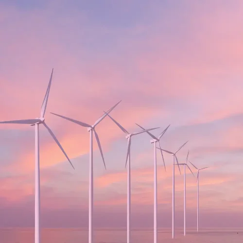 Can a small business make any real impact when it comes to the climate emergency_